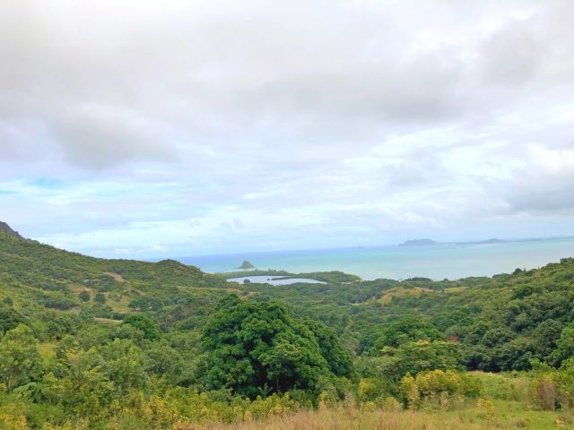 Mokolii