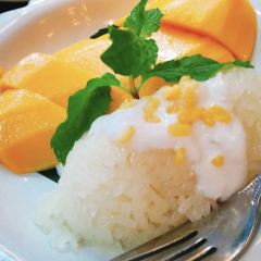 Cabbages & Condoms User Photo