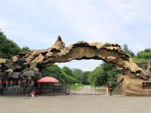 Лунг-Шань-Хау-Шань лес