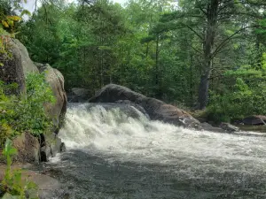 Daves Falls