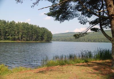 Cave Mountain Lake