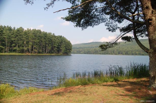 Cave Mountain Lake