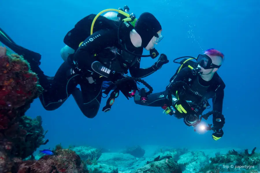 Huatulco Dive Center