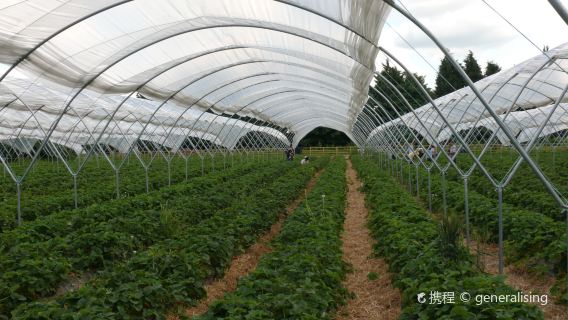 Briarlands Farm Park