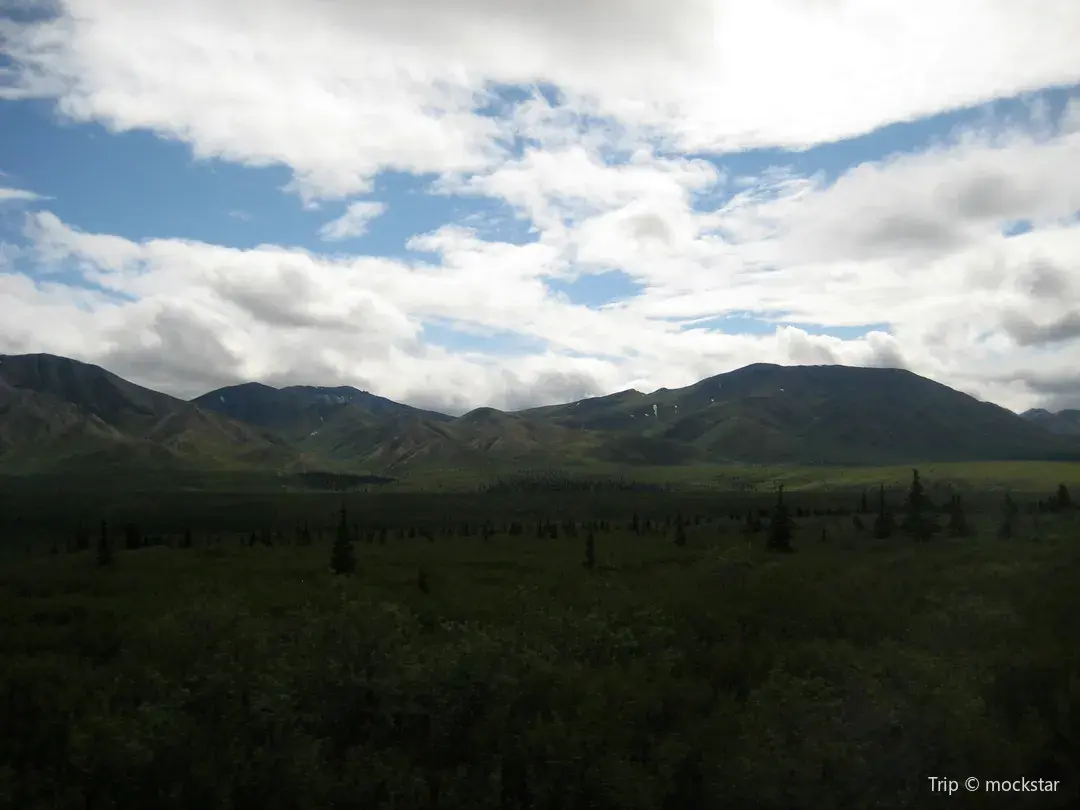 5_Blue Spruce Park