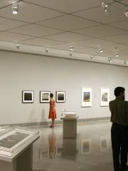 J Wayne Stark University Center Gallery