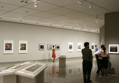 J Wayne Stark Galleries - University Art Galleries