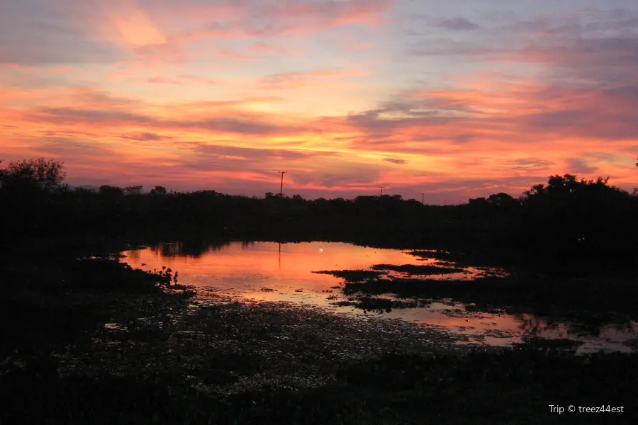 Pantanal