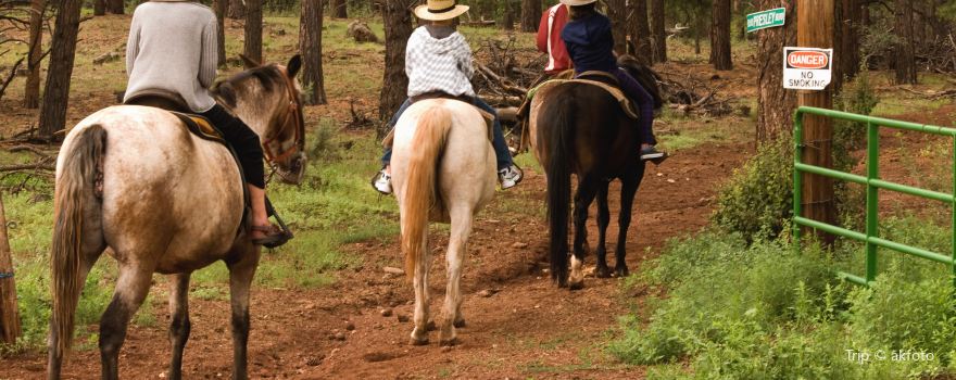 Foothills Ranch