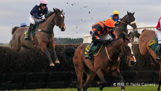 オークローンパーク競馬場