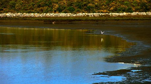 Batiquitos Lagoon