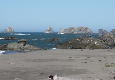 Harris Beach State Park