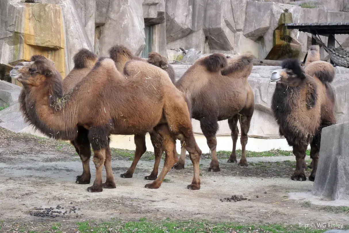 3_Milwaukee County Zoo