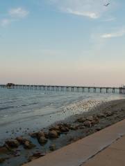 Galveston Fishing Pier