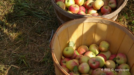 B.F. Clyde's Cider Mill