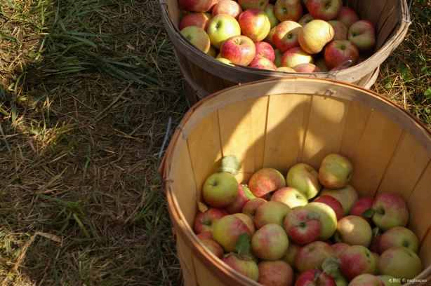 B.F. Clyde's Cider Mill