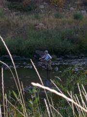 Steamboat Flyfisher