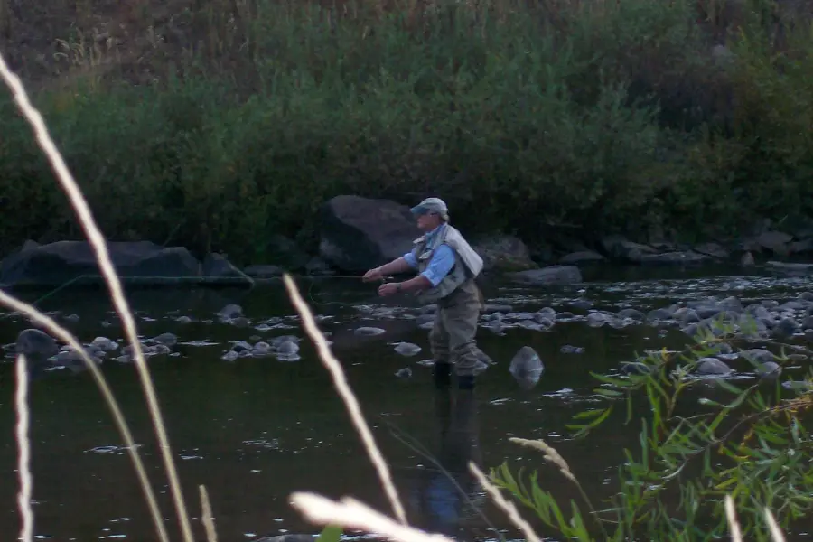 Steamboat Flyfisher