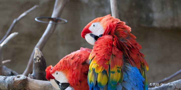 サンタ・バーバラ動物園