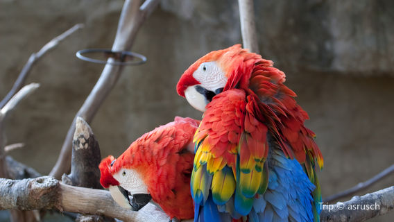 Santa Barbara Zoo