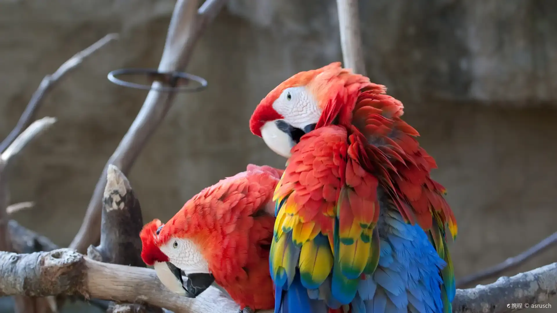 Hoteles cerca de Zoológico de Santa Bárbara