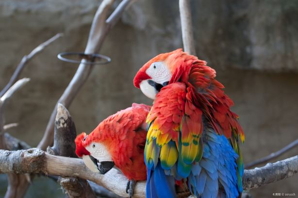 Santa Barbara Zoo