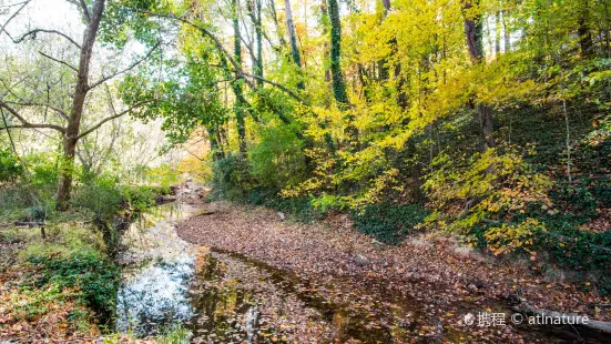 Blue Heron Nature Preserve