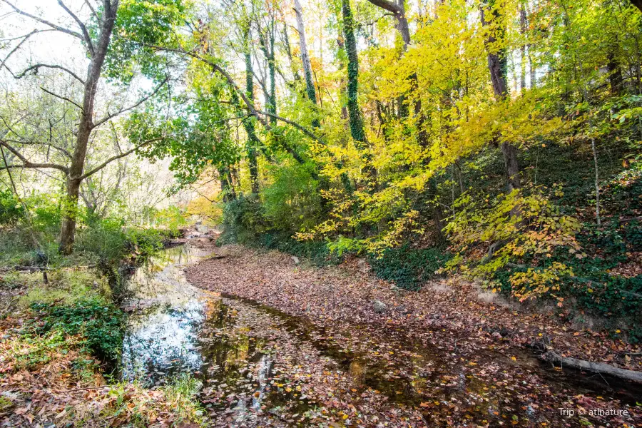 Blue Heron Nature Preserve