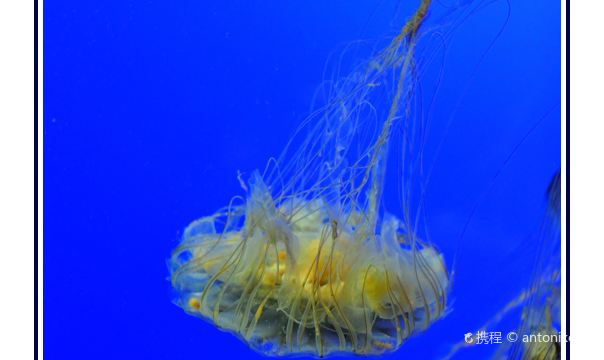Aquarium La Rochelle