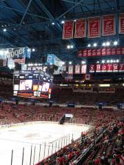 Joe Louis Arena