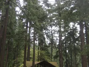 Mt. Tabor Park
