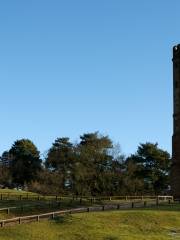 Leith Hill