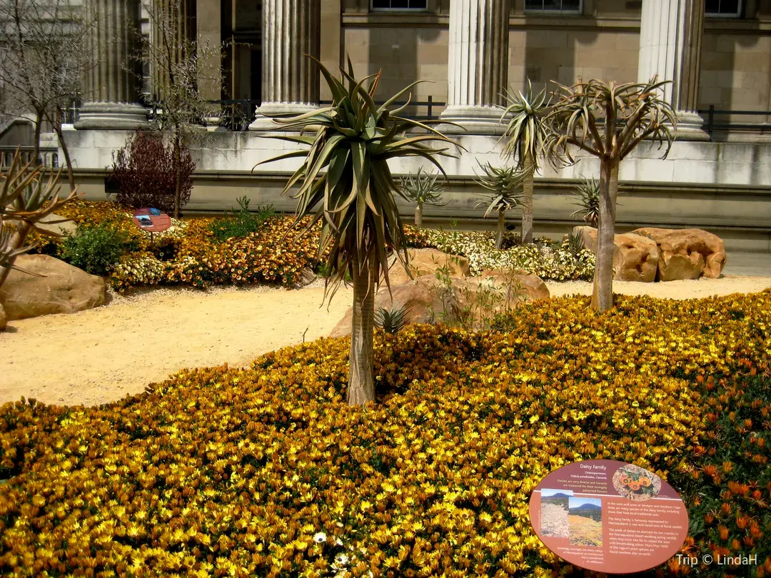 4_พิพิธภัณฑ์ยิวแอฟริกาใต้