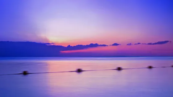 舊金山灣及三角洲模型