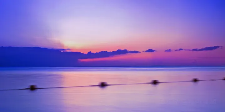 舊金山灣及三角洲模型