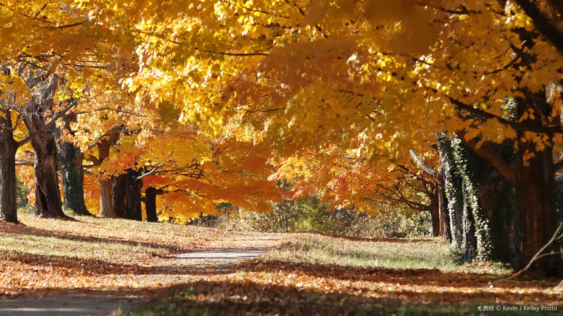 Hotels near Maymont