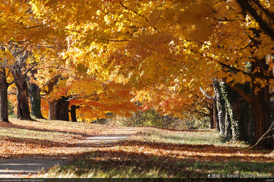 Maymont