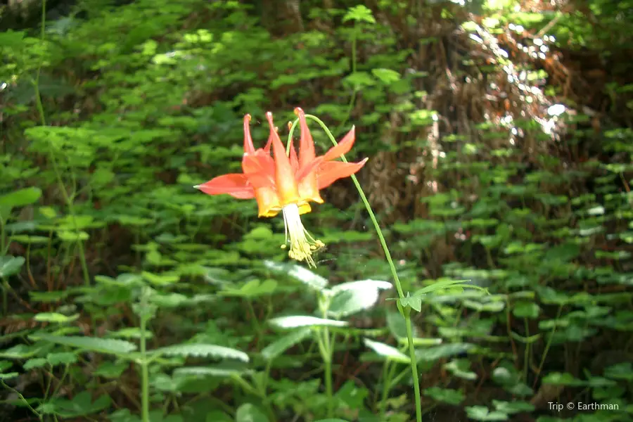 石灰窯州立公園