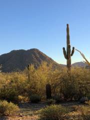 San Tan Mountain Regional Park