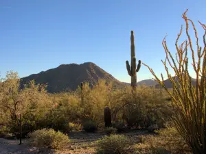 San Tan Mountain Regional Park