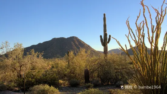 San Tan Mountain Regional Park