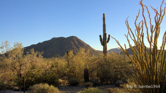 San Tan Mountain Regional Park