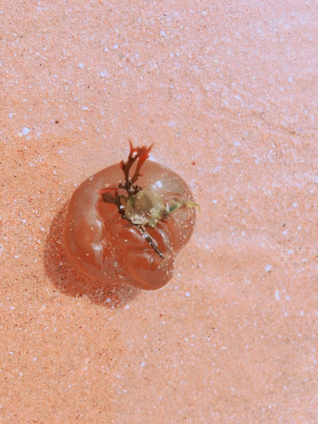 Silver Sands Bathing Beach