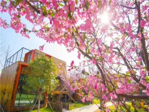 Top 3 Spring Outings in Suqian