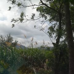 桂港海鮮城張用戶圖片