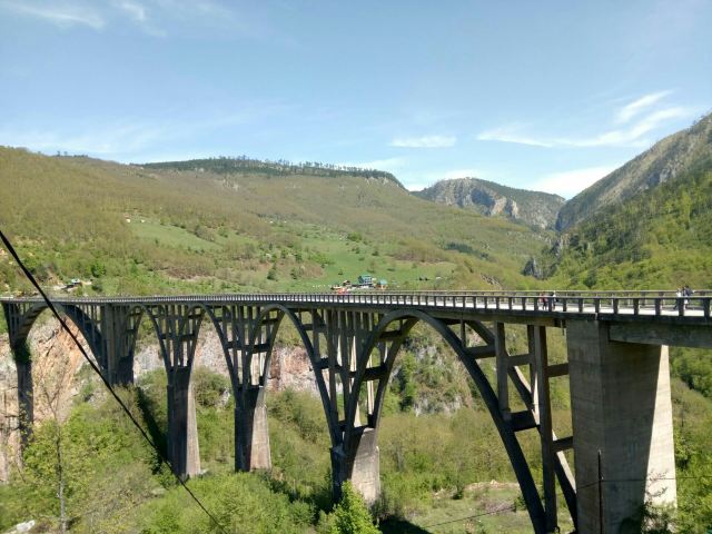 塔拉河大橋
