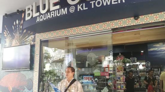 蓝珊瑚水族馆还算是蛮大的，水族馆有很多鱼类可以看到，非常梦幻