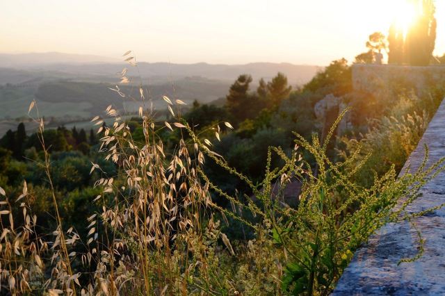 VAL D’ORCIA