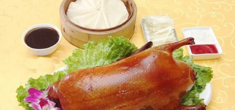 Xunweixuanguomukao Duck