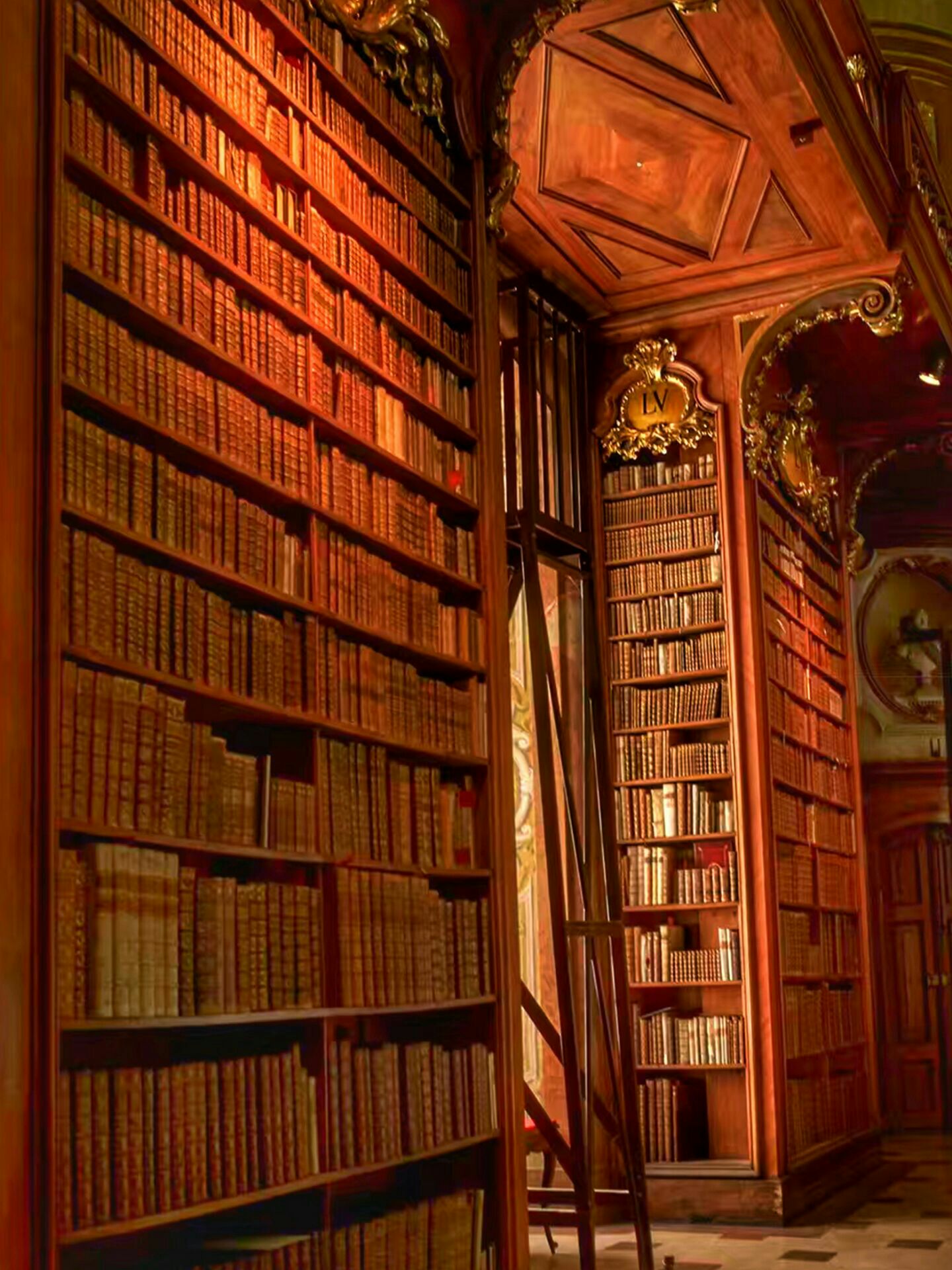 ウィーン オーストリア国立図書館 評判 案内 トリップドットコム